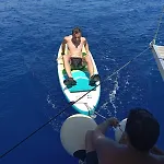Yacht-urlaub In Den Buchten Von 船屋