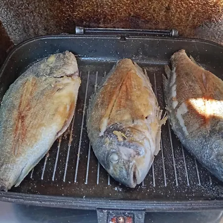 Yacht-urlaub In Den Buchten Von * Datça